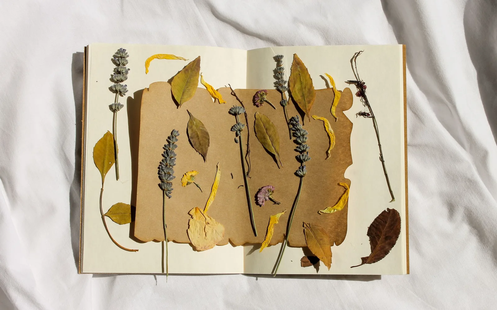 Un carnet ouvert avec de la lavande, des feuilles et des pétales séchés, pressés sur une page
