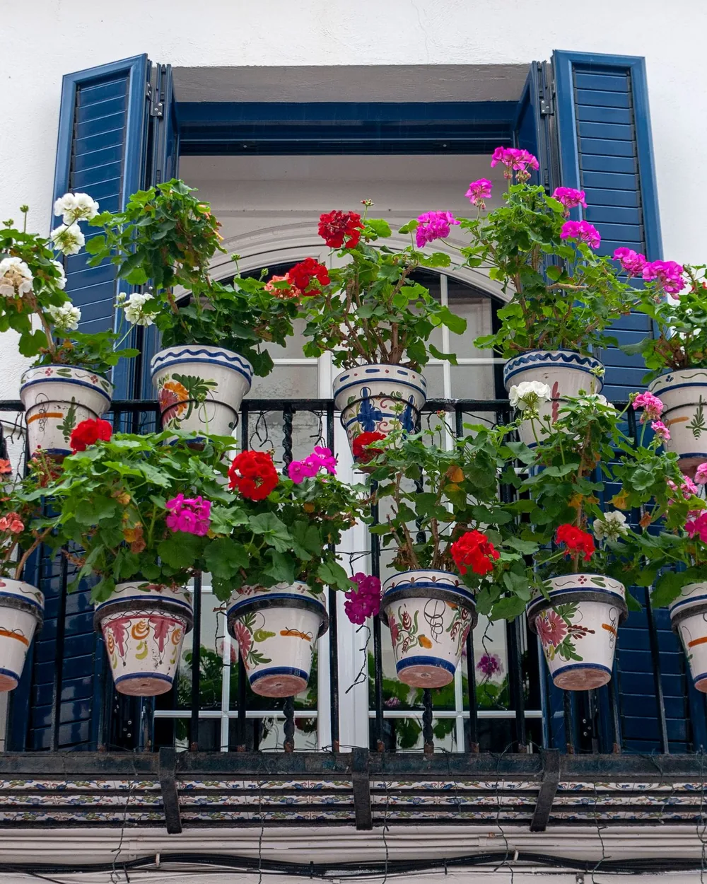 Rubrique Pots & balcons fleuris