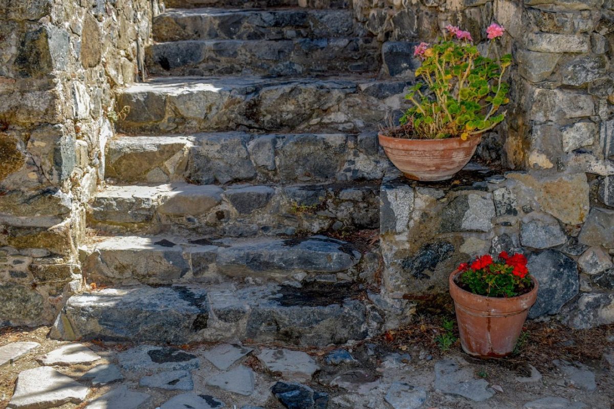 Guide pas à pas pour aménager un petit jardin