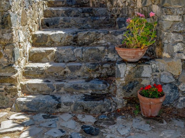 Guide pas à pas pour aménager un petit jardin