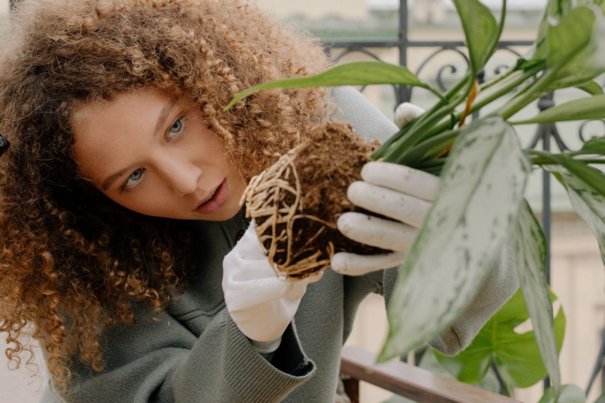 Lechuza ou Elho pour jardinières extérieures