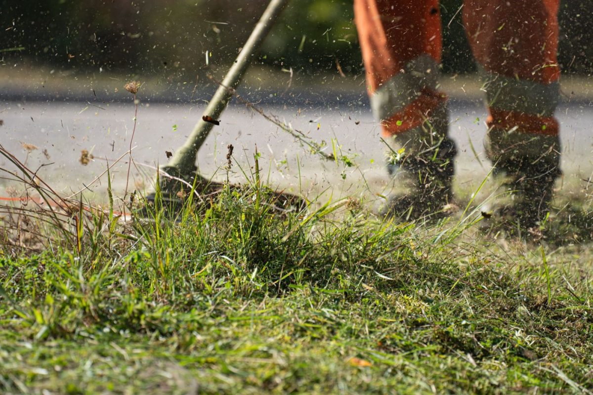 Outils sans fil pour petit jardin : classement 2026