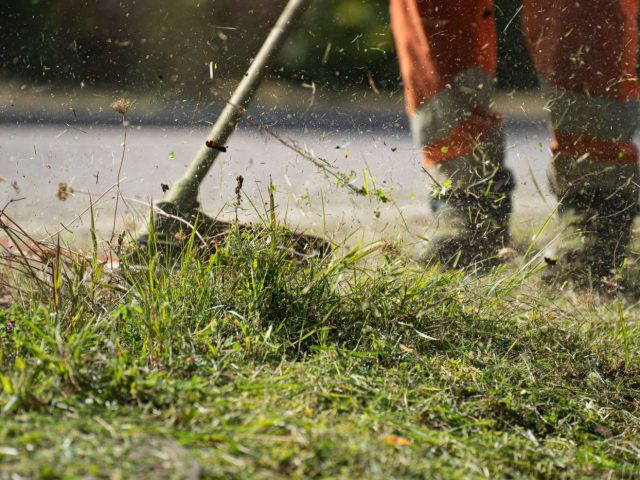Outils sans fil pour petit jardin : classement 2026
