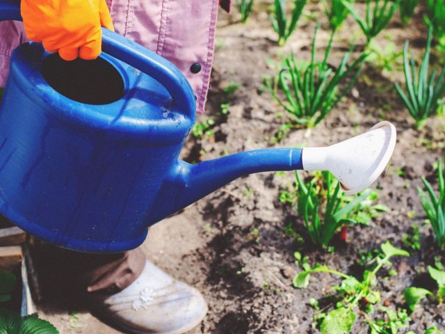 Outils indispensables pour créer et entretenir un potager