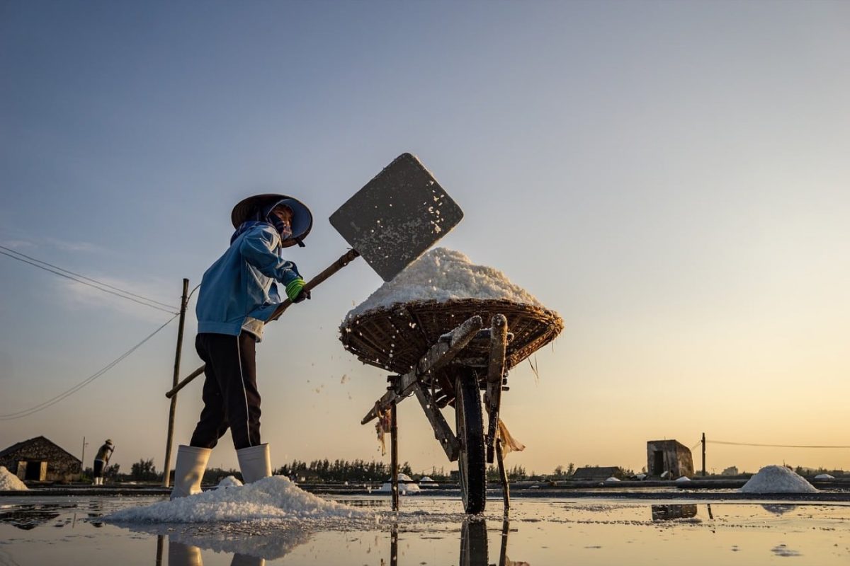 Quel paillage biologique pour protéger et enrichir le potager