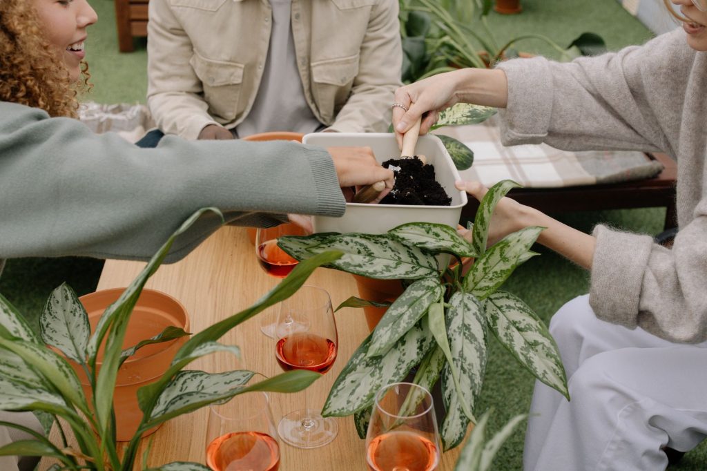 Astuces de jardinage pour 2023 : tendances à adopter