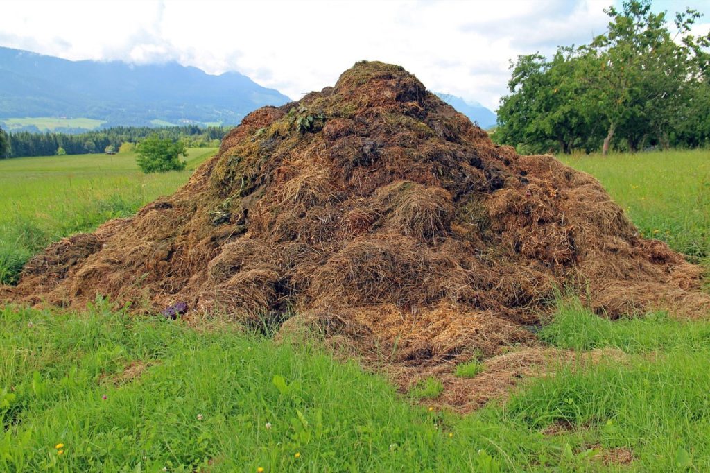 Guide pas à pas pour faire du compost chez soi