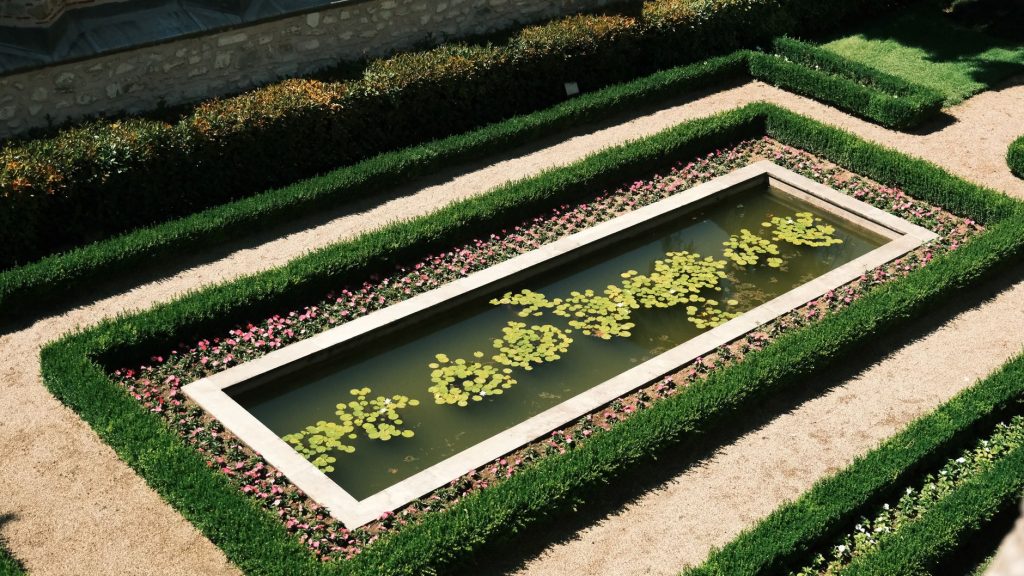 Plantes économes en eau pour jardins et aménagements