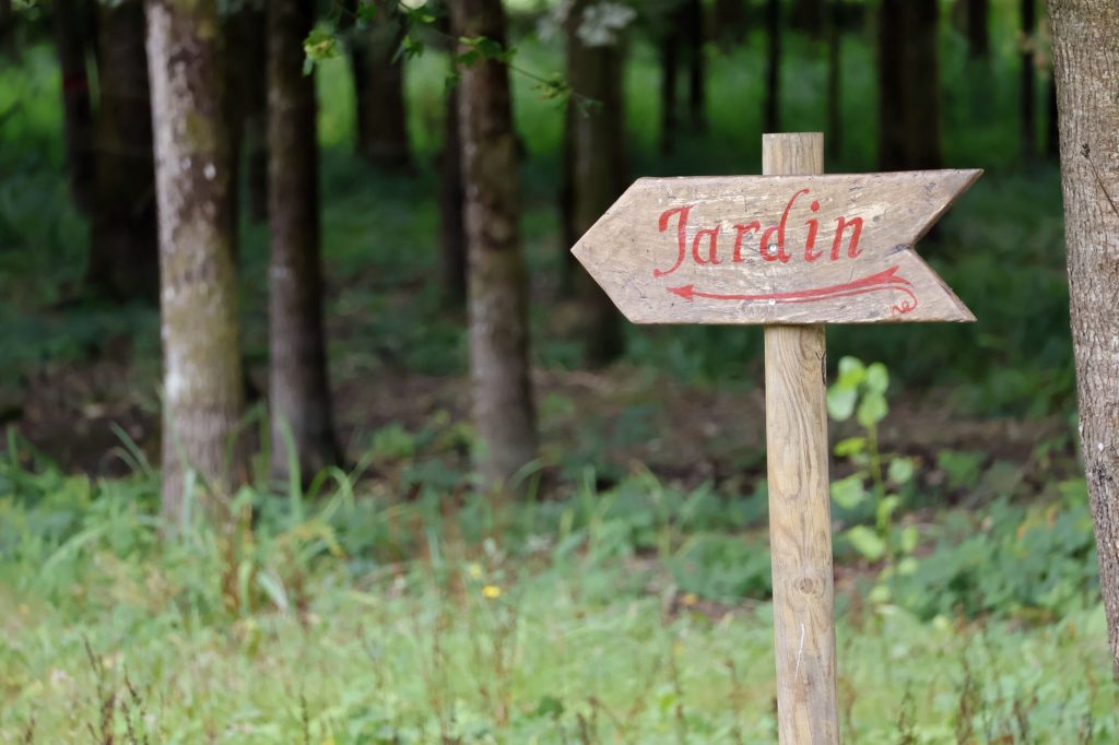 Meilleures pratiques d’entretien de jardin en 2026
