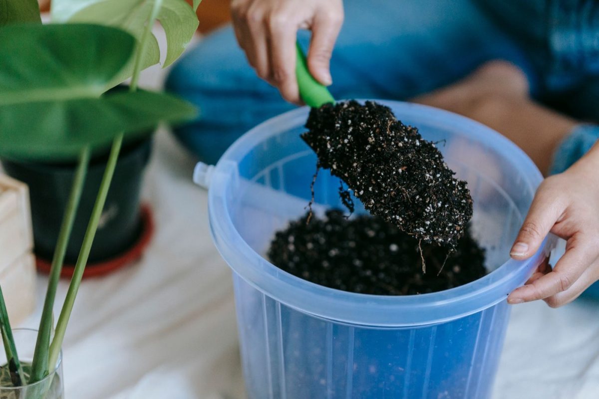 Rénover un petit muret de jardin : matériaux et étapes