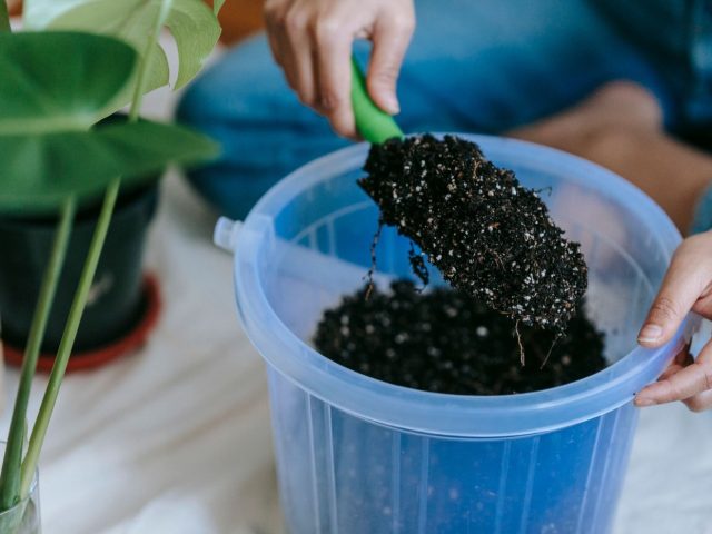 Rénover un petit muret de jardin : matériaux et étapes