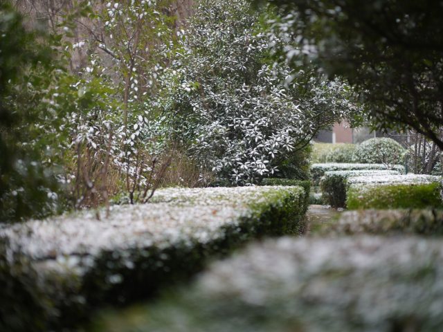 Préparez votre jardin pour l’hiver : 7 gestes essentiels à ne pas négliger !