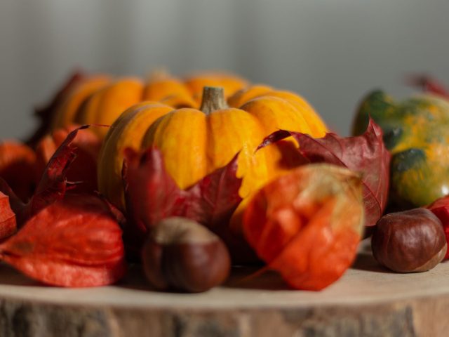 Préparer son potager pour les récoltes d&rsquo;automne
