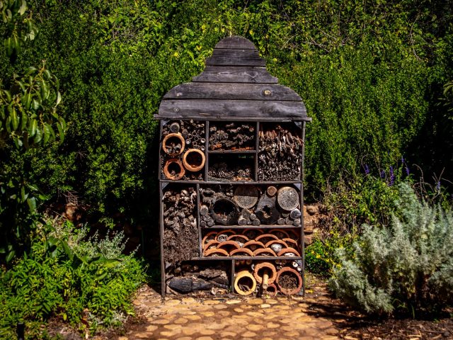 Les erreurs à éviter ce printemps pour un jardin en pleine santé