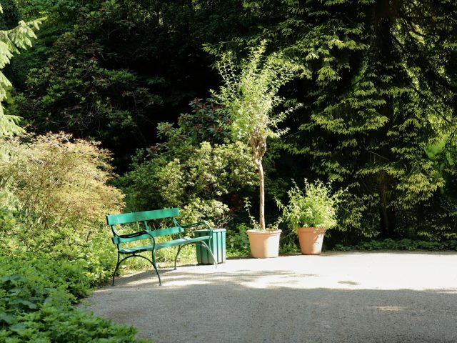Créer un jardin-forêt pour des récoltes durables