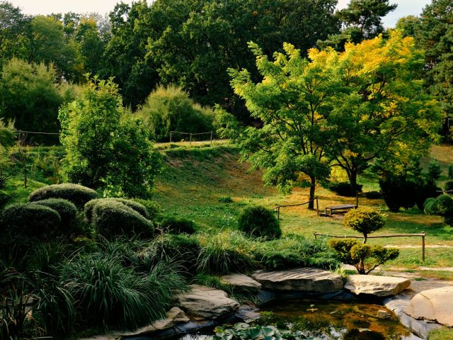 Dès la fin de l’été, sauvez votre jardin de la chaleur avec ces astuces