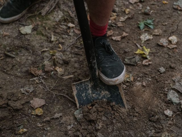 Retourner la terre en automne : le piège caché des jardiniers