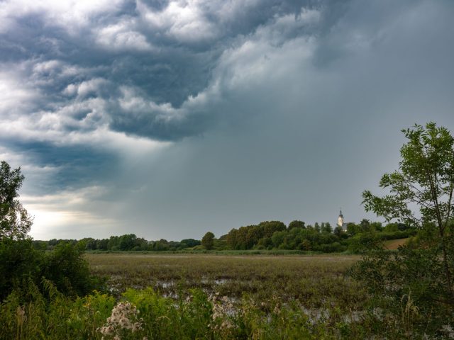 Protéger vos plantes lors d&rsquo;orages : gestes simples à adopter