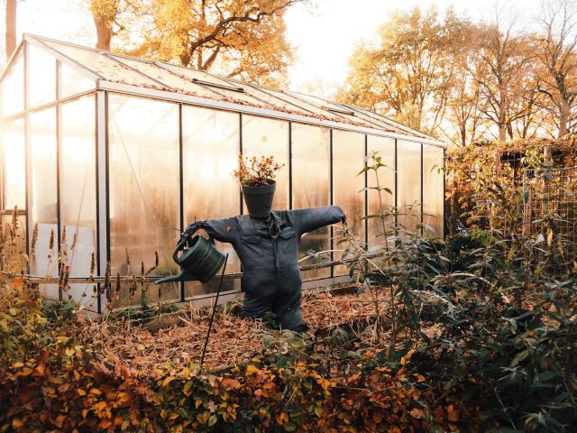 Dès l’automne, l’erreur qui ruine vos efforts de jardinage